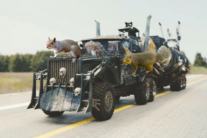 PHOTO-ILLUSTRATION: IZABELLA BALCERZAK