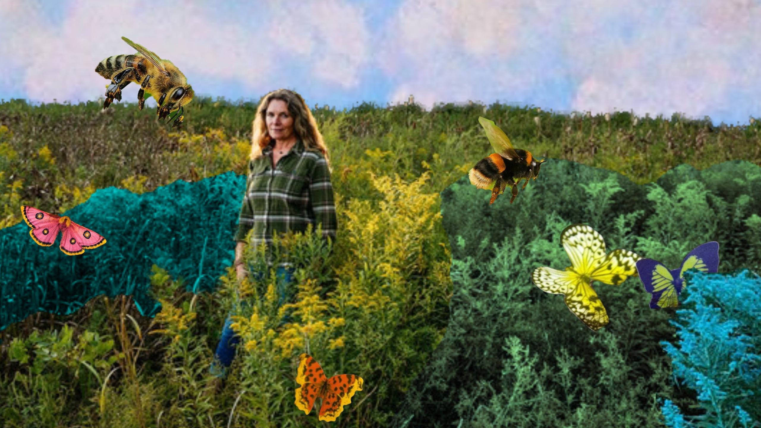 Collage of a professor Nina-Marie Lister standing in a field with bumblebees and butterflies.