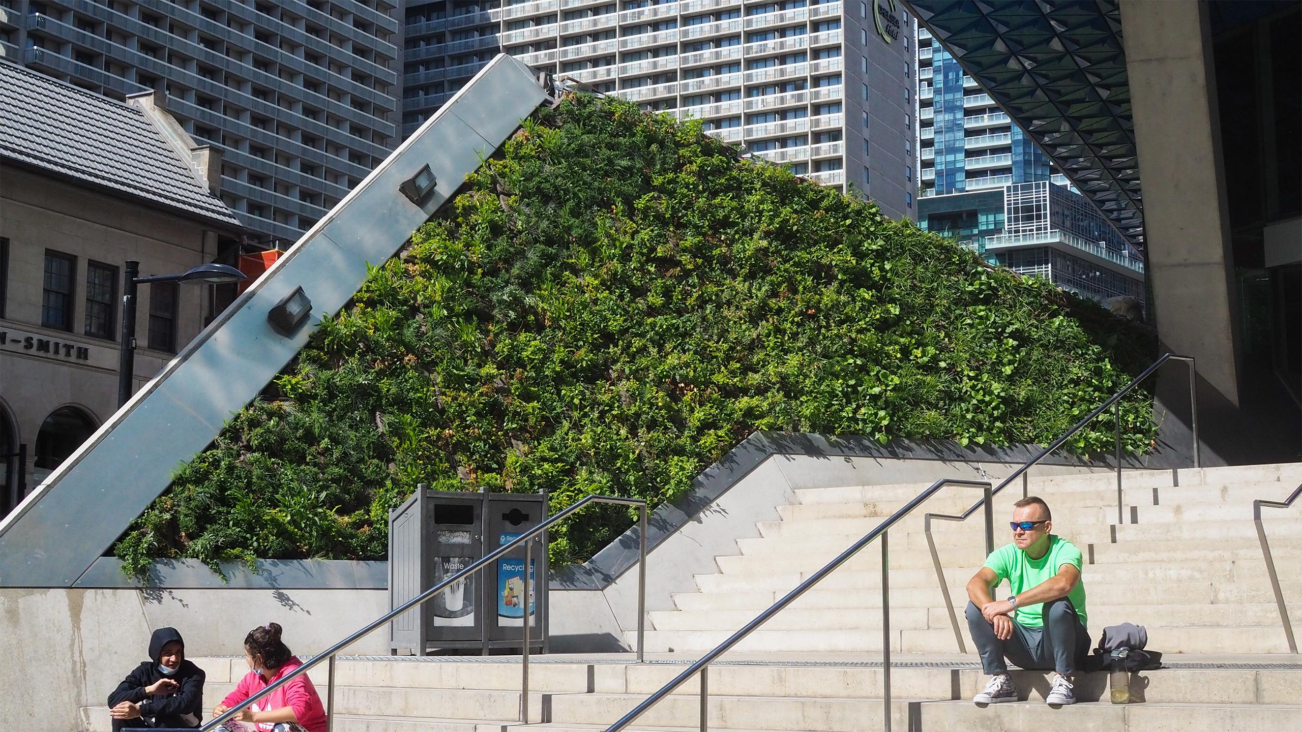 Wall covered in plants beside SLC steps