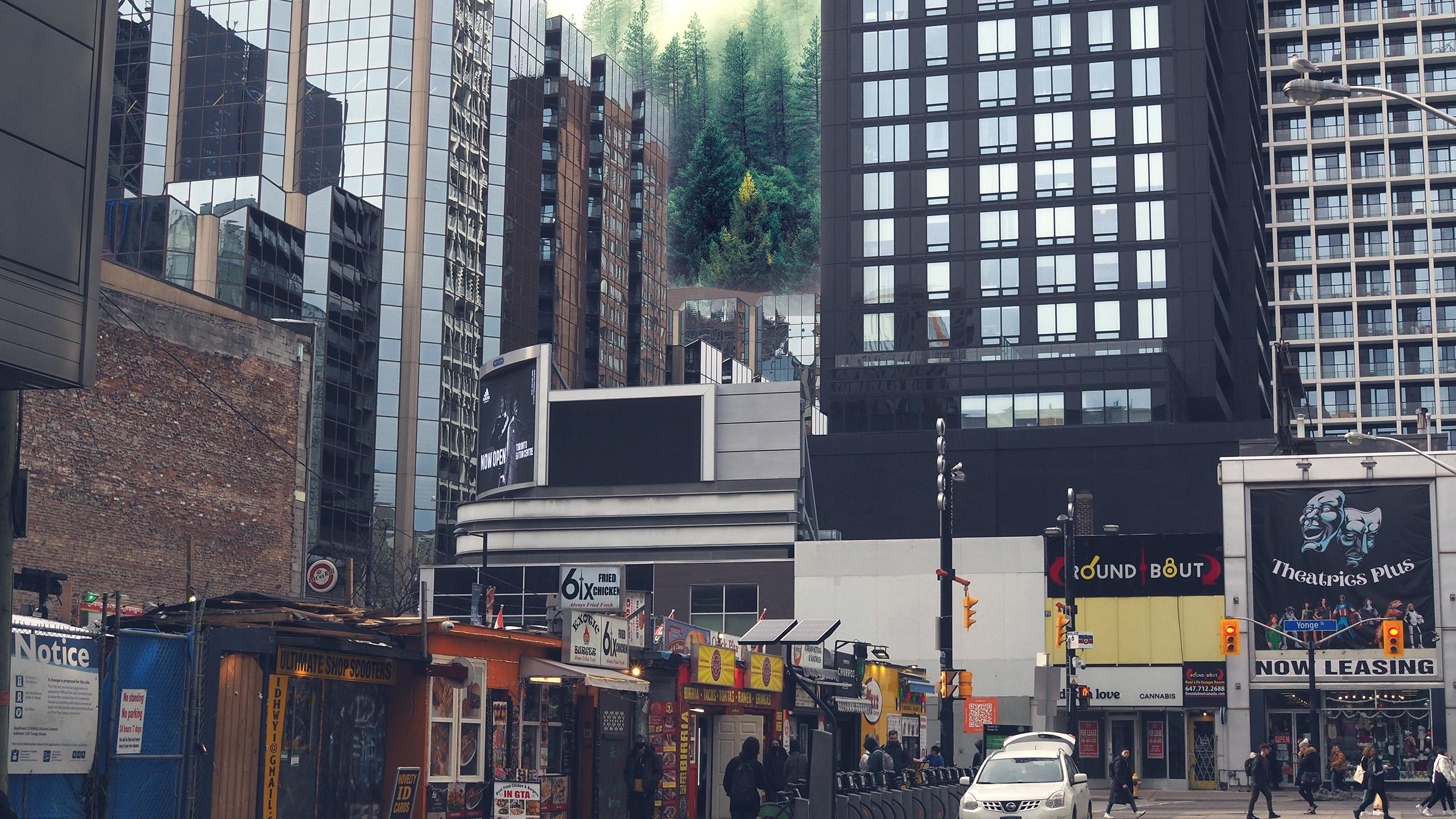 Trees rising up behind highrise city buildings