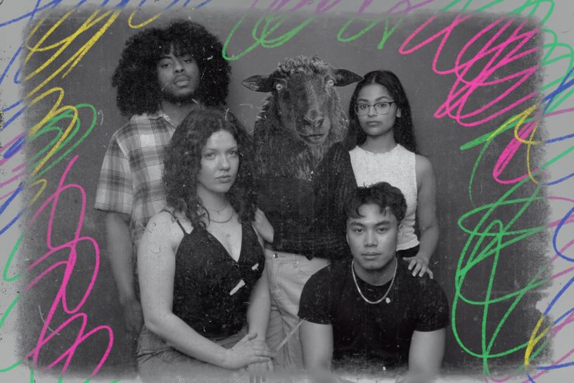 An image with illustrations of colourful squiggles and an inserted image of a black sheep in the center of the image