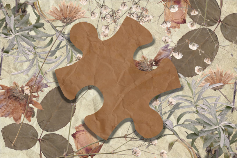Collage of pressed flowers and leaves with a cutout of a brown puzzle piece in the middle of the frame.