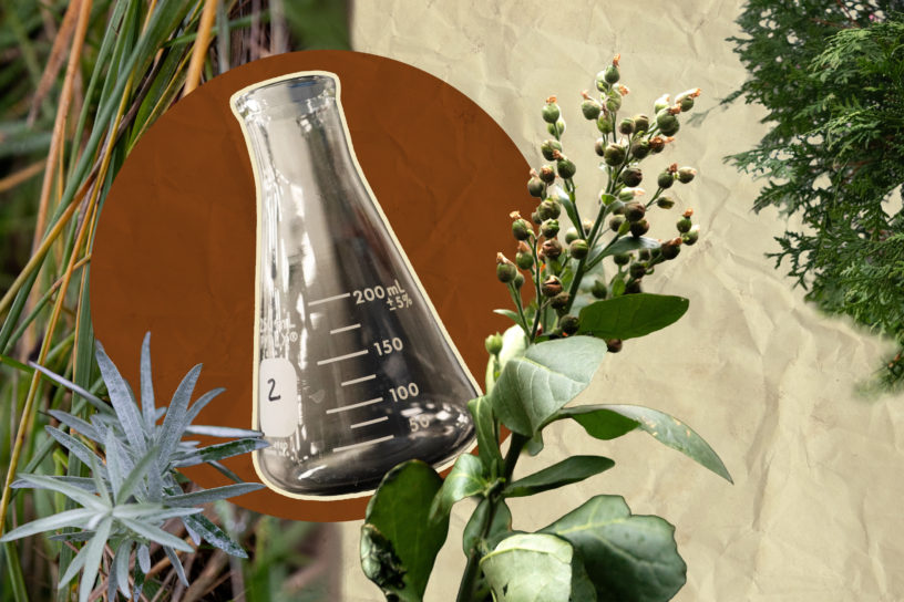 Collage of cedar, sweetgrass, sage and tobacco along with a beaker on a white background with a paper texture. There is an orange circle behind the beaker.